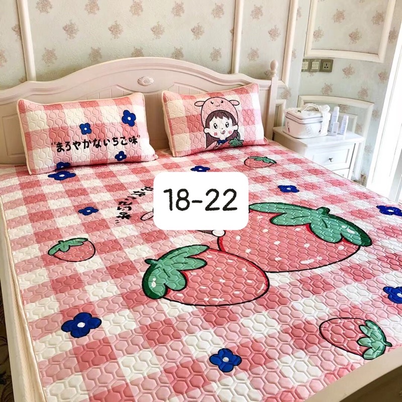 [Mã INCU1708 hoàn 15K xu đơn 50K]Chiếu điều hoà cao su non cao cấp siêu êm siêu mịn dày dặn Luis Bedding shop chăn ga