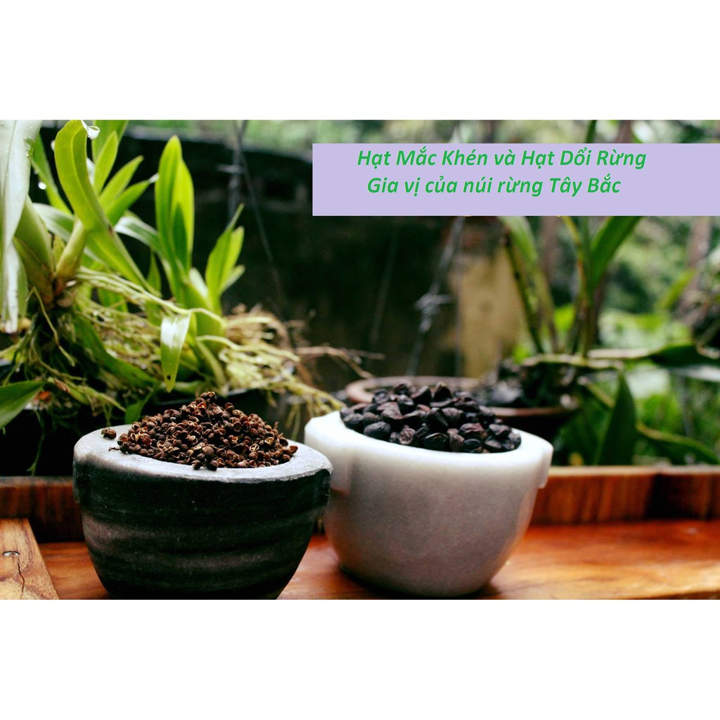 combo hạt mắc khén + hạt dổi rừng | BigBuy360 - bigbuy360.vn