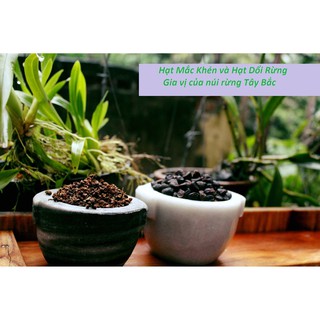 Hạt dổi rừng 50g 100g (dổi nếp loại 1)