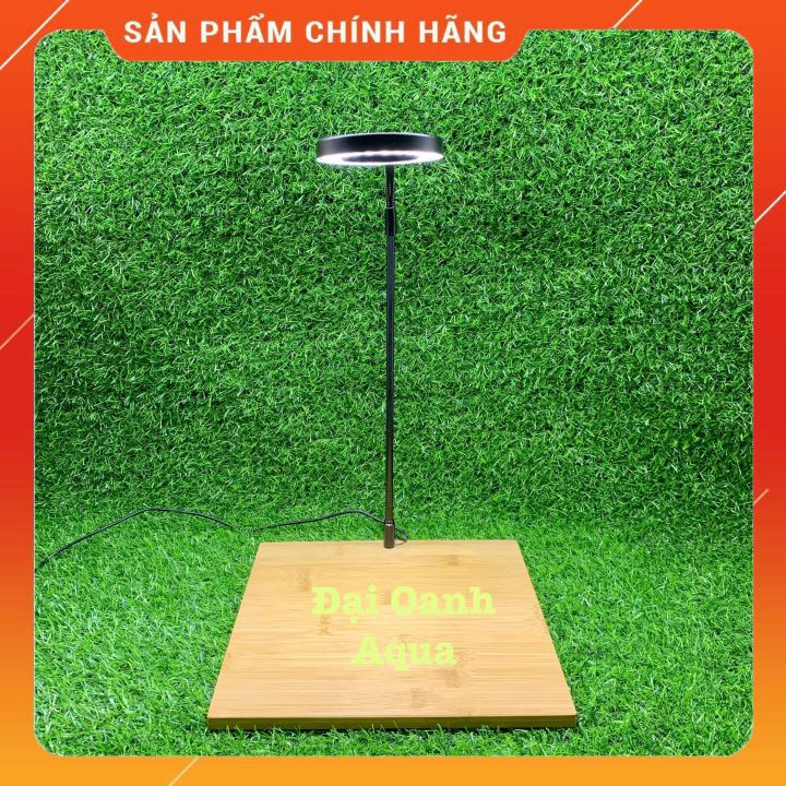 Bộ Bể Cá Thủy Tinh Hình Trụ Tròn Kèm Đèn Đế Gỗ-Bể Cá Để Bàn