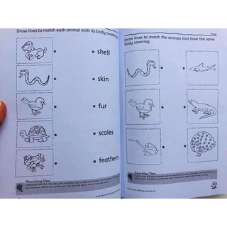 Bộ 3c - Jumbo - English + Maths + Science (Nursery, K1, K2)