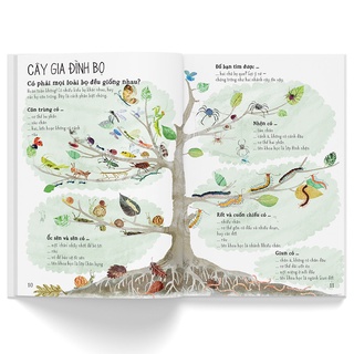 Sách - A Lê Hấp! Thế Giới Bọ - Bình Book
