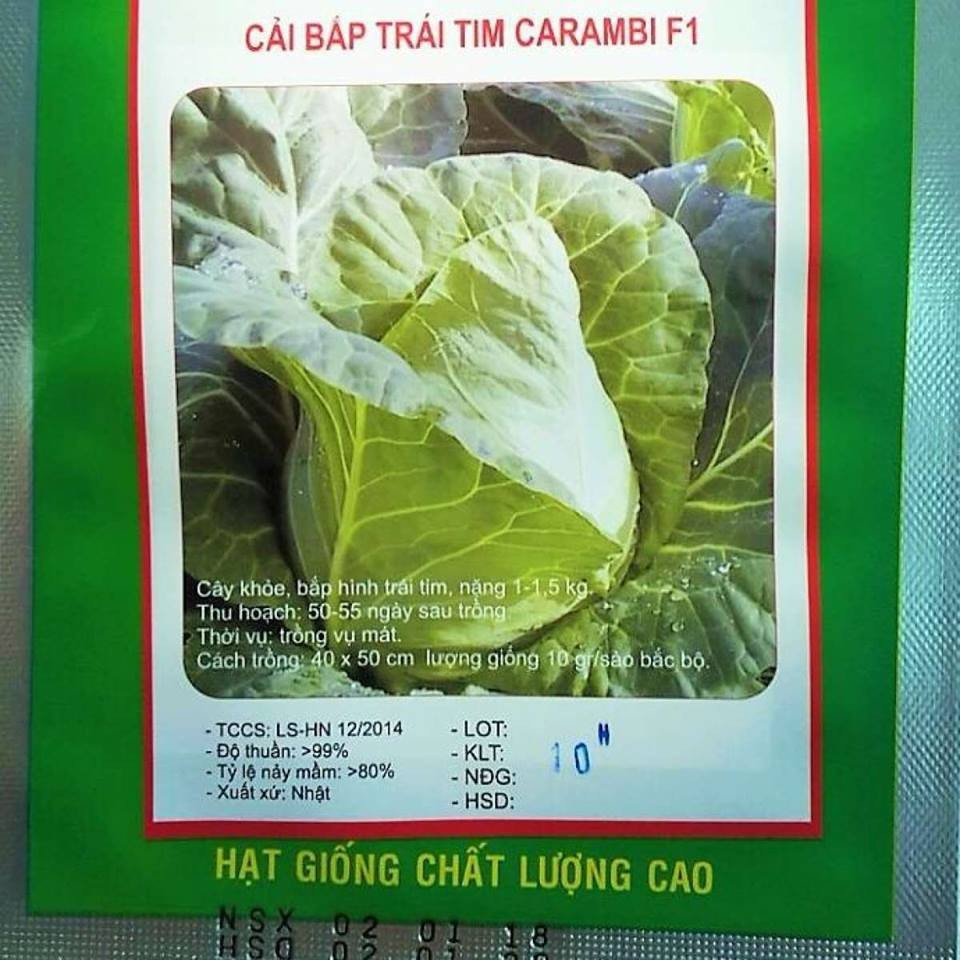 Hạt giống bắp cải xanh hinh trái tím F1 - Gói 30 Hạt