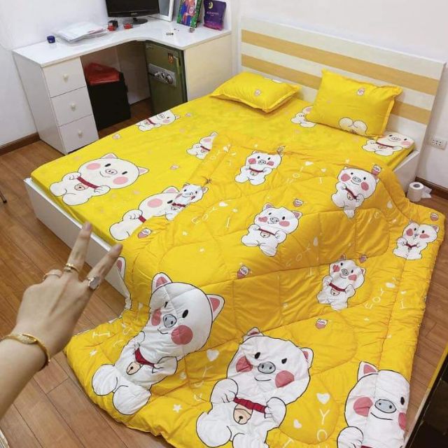 Set chăn ga