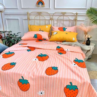 Set cotton chăn trần cực thích