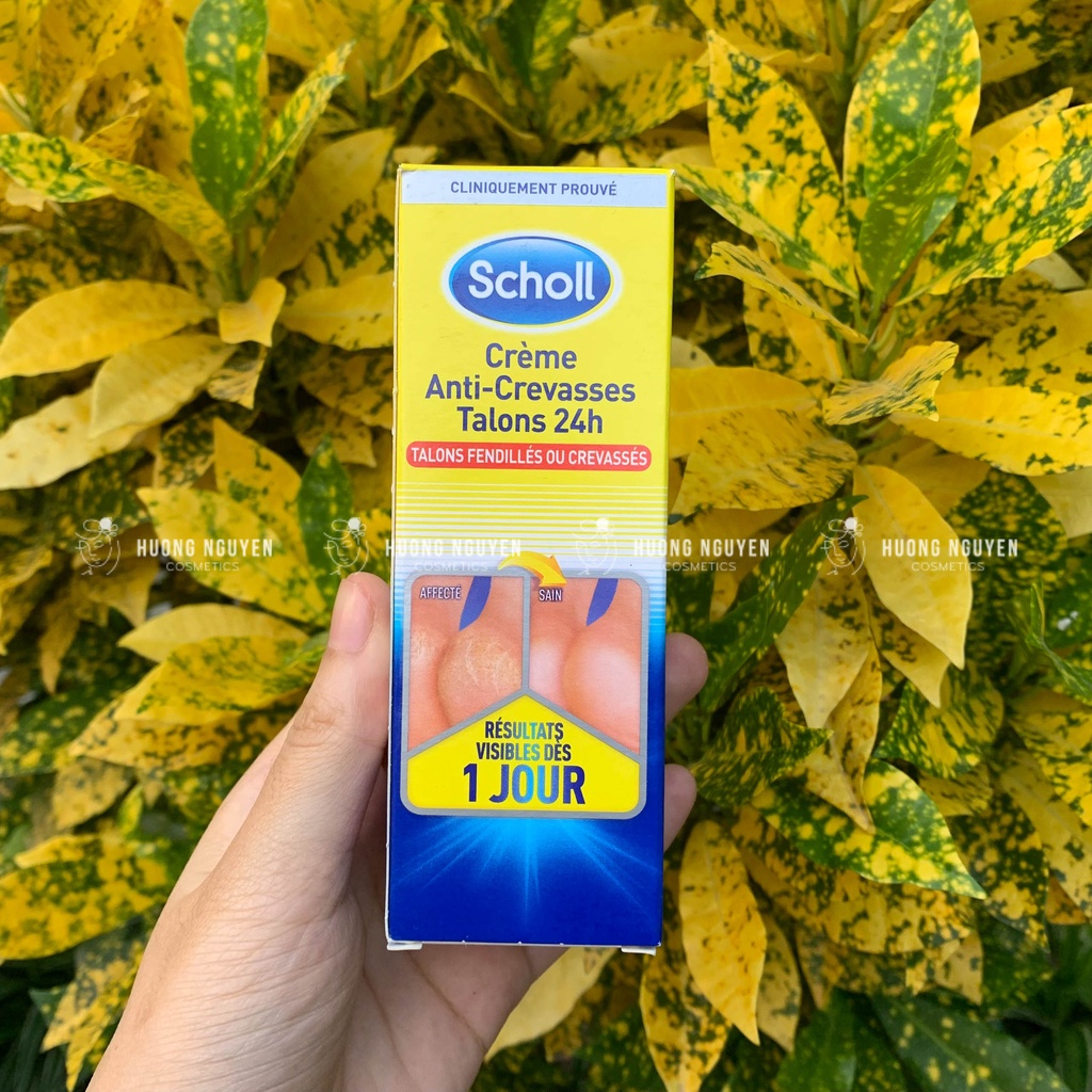 Kem Nứt Gót Chân Scholl Creme Anti - Crevasses Talons 60ml