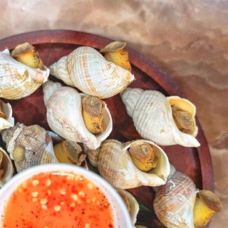 Ốc Bulot Pháp nhập khẩu gói 1kg