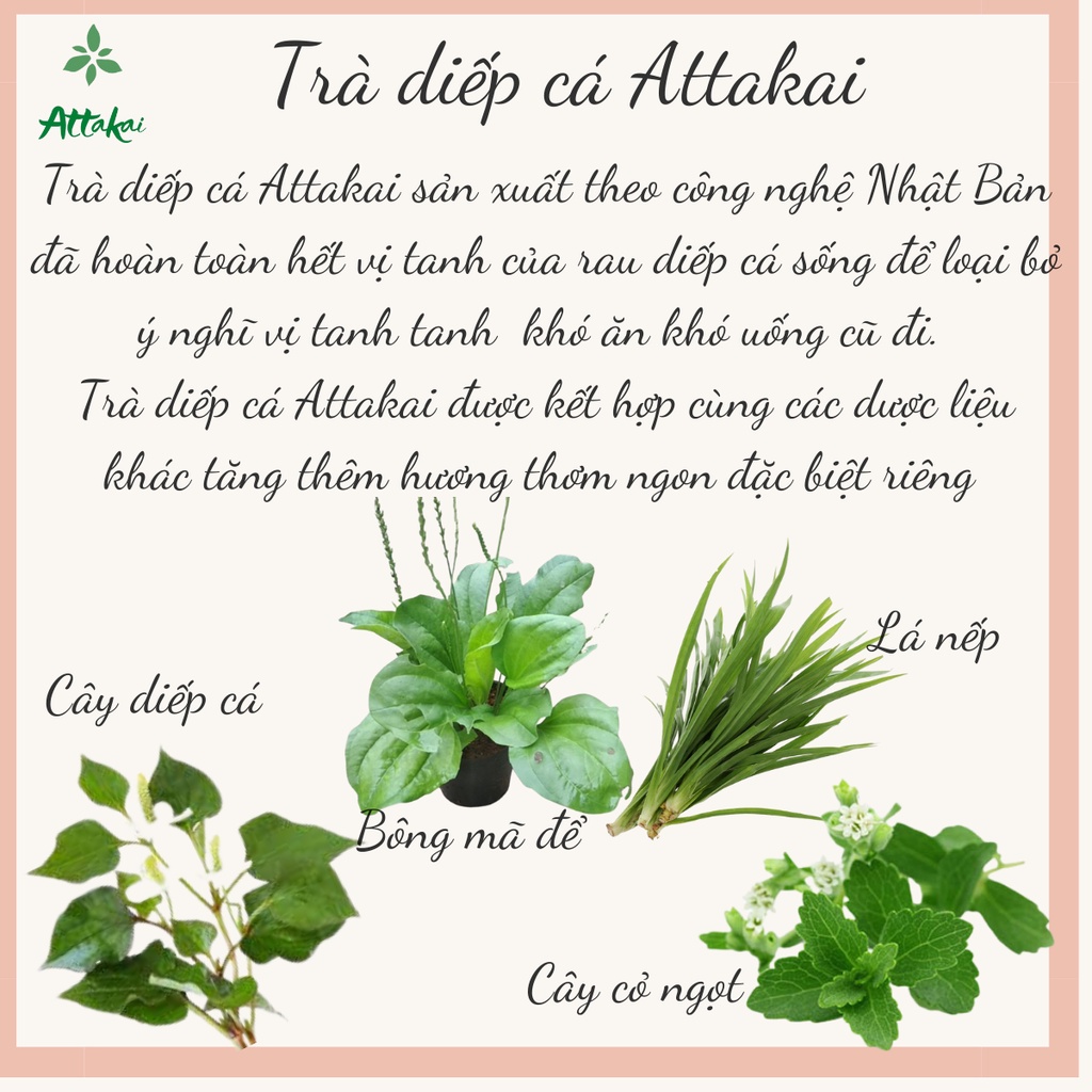 Trà diếp cá Attakai hộp lớn sang trọng 60 gói túi lọc tiện lợi pha ngay uống liền thanh nhiệt cơ thể