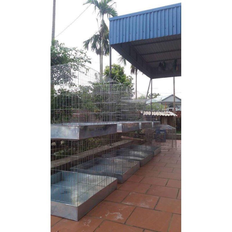 Bộ lồng cho gà ,chim ...80-80-80