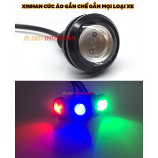 Xinhan cúc áo