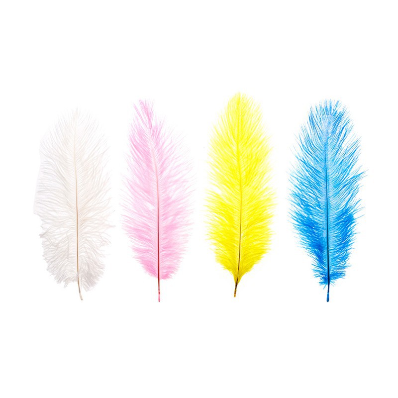 Bộ 10 lông đà điểu 10-12 inches nhiều màu sắc