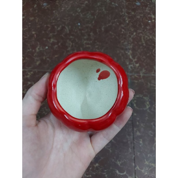 Chậu trồng cây cảnh mini: mẫu sứ tròn nhỏ