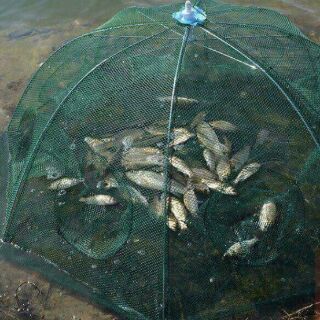 lưới bắt cá bát quái