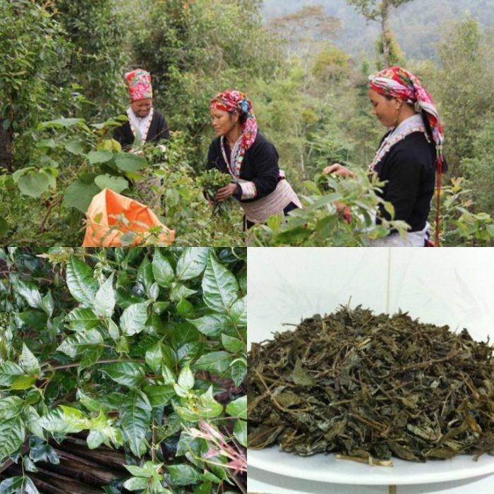 Chè dây khô 1kg hàng chuẩn loại 1 thơm ngon