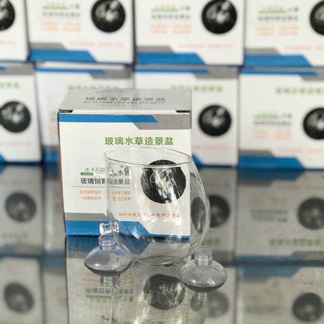 Cốc trồng cây thủy tinh