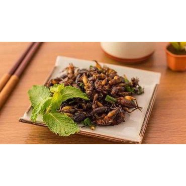 Dế mèn, dế thịt tươi đã làm sạch bảo quản lạnh, RẤT THƠM NGON, đặc sản Nguồn Trại dế Đông Anh