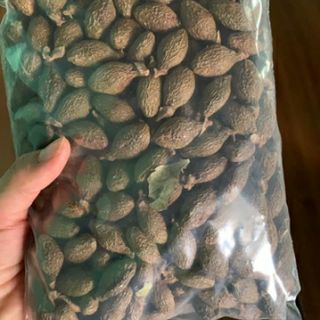 Hạt ươi chuẩn loại 1 đặc biệt ( hộp 500gr )