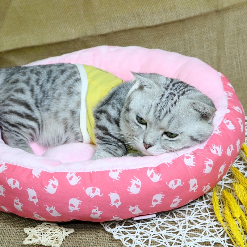 Ổ ĐỆM CHO CHÓ MÈO DỄ THƯƠNG