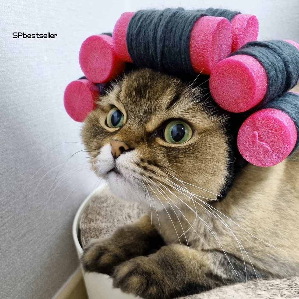 Bộ Mũ Và Tóc Giả Xoăn Hóa Trang Vui Nhộn Cho Thú Cưng