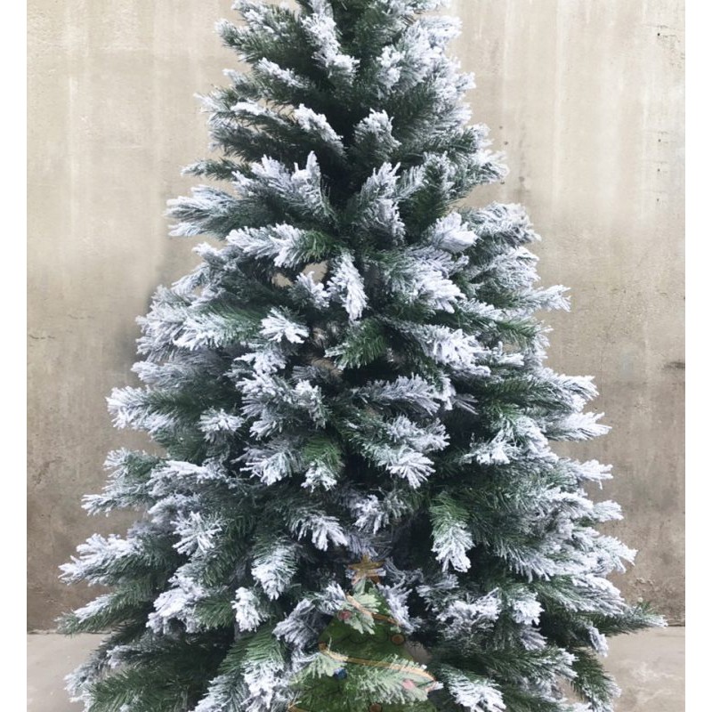 Cây thông noel phủ tuyết 2m - Cây cao cấp tán dày và rộng