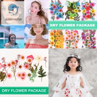 Hoa Ép Khô Dùng Để Trang Trí Diy