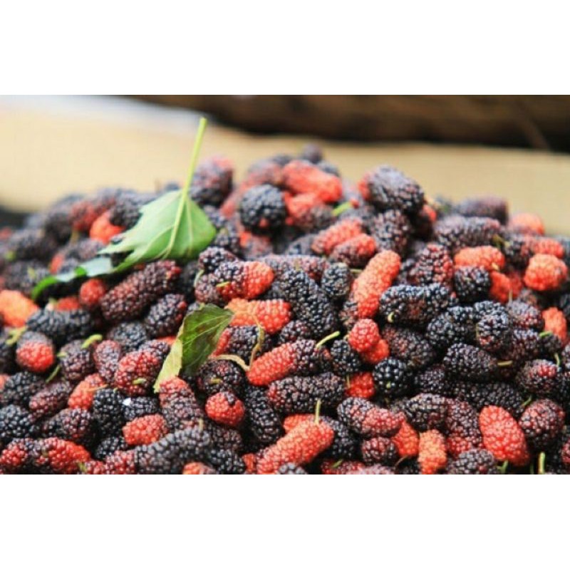 dâu tây sấy dẻo