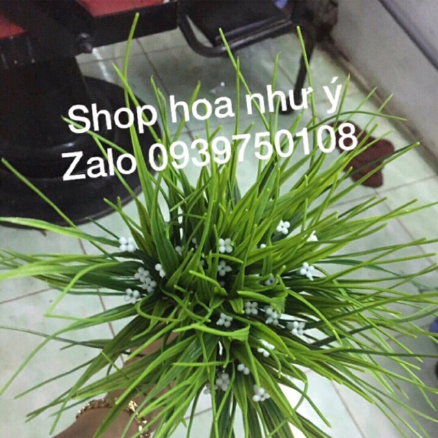 Combo hoa điểm