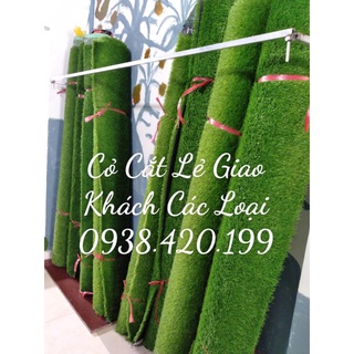 Thảm cỏ nhân tạo 2cm giá rẻ nhất shopee