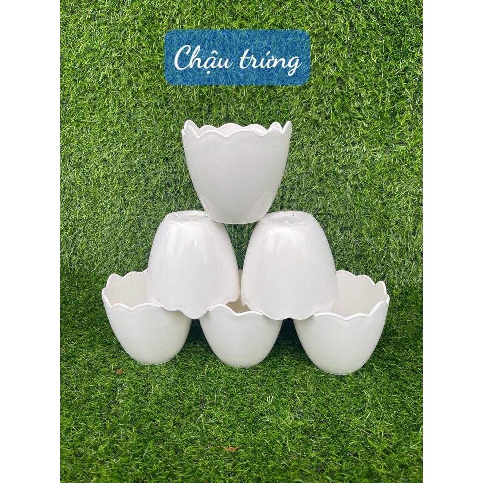 Chậu nhựa trồng cây hình trứng siêu xinh - đủ size hàng loai 1