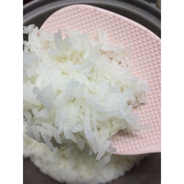 Gạo ST 25 - đặc sản Sóc Trăng
