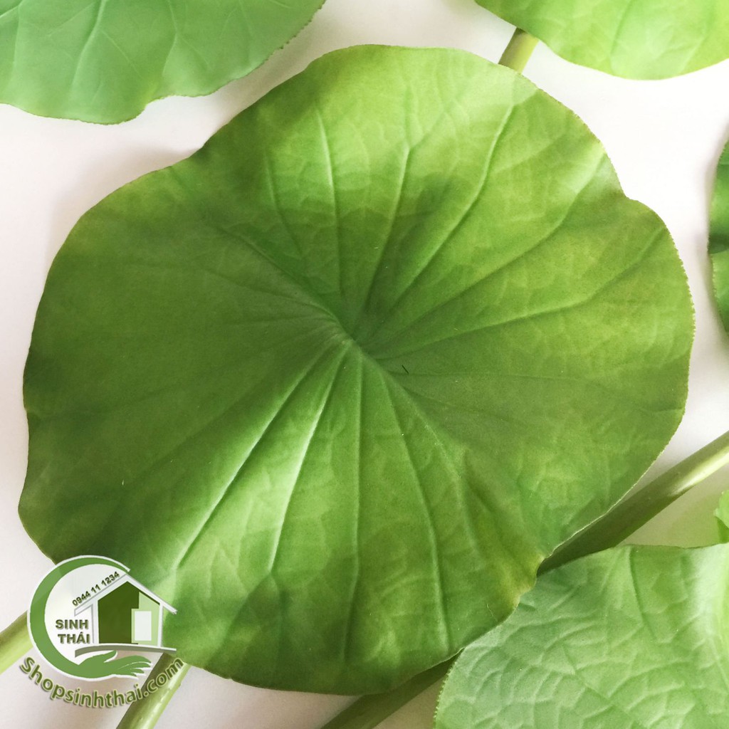 Lá sen giả - cành lá sen cao cấp - 1 lá