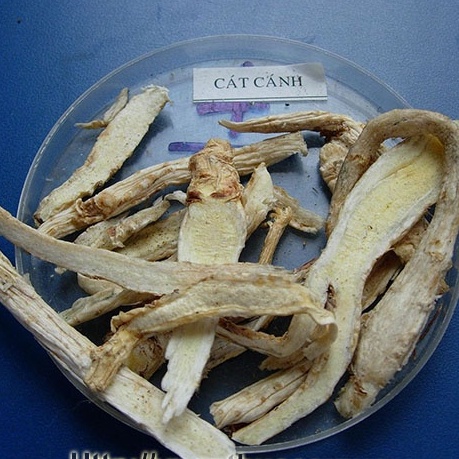 Cát Cánh khô đẹp 100 gram.