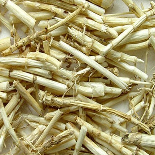 rễ cỏ tranh khô