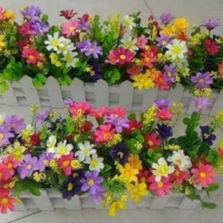Hàng rào hoa thạch thảo 50cm (nhiều màu) ( để Free ship CHAT ngay với người bán)