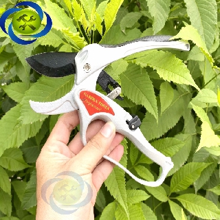 KÉO CẮT CÀNH C-MART A0046-08