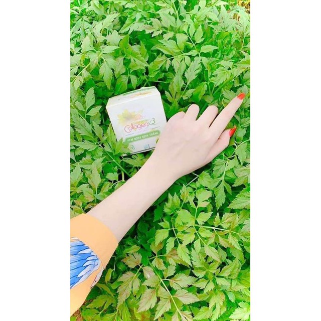 Body colagen x3