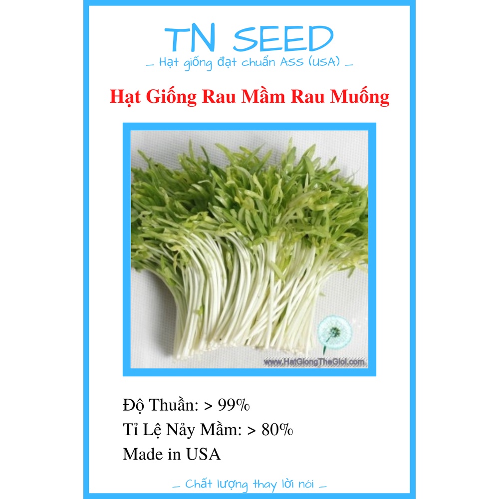 Hạt Giống Rau Mầm Rau Muống [100g]
