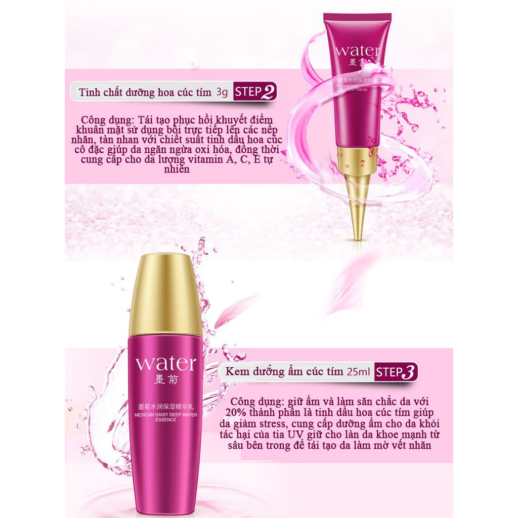 Bộ Mỹ Phẩm Chăm Sóc Da Hoa Cúc Tím Bioaqua 5 Món | BigBuy360 - bigbuy360.vn