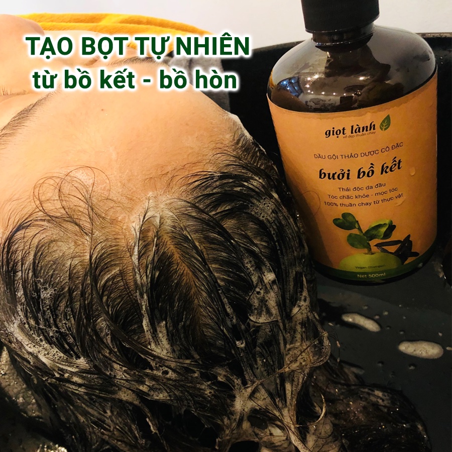 Dầu gội bồ kết - Tinh dầu bạc hà nguyên chất, giúp kích mọc tóc, giảm gàu, ngứa, rụng tóc Giọt Lành