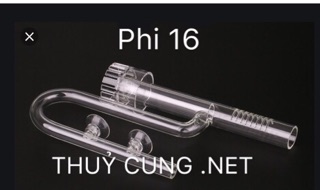 In out thuỷ tinh bể cá