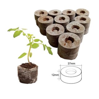 Combo 10 viên nén xơ dừa - viên nén ươm hạt giống - trồng cây thủy canh | Vạn Tín Store