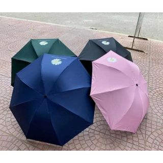 Ô dù hoa cúc ♥️freeship♥️ họa mi chống tia uv + chống mưa