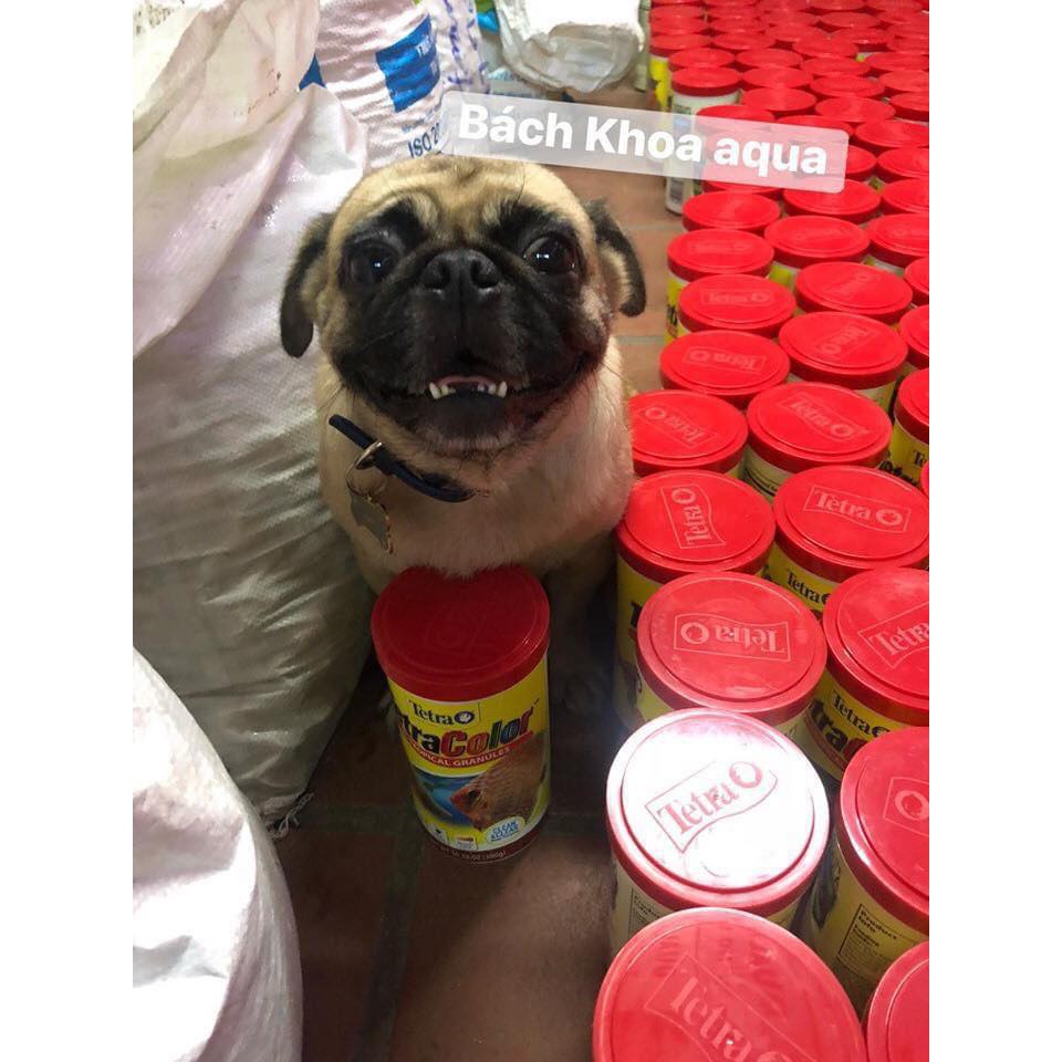 Thức ăn Tetra Color TROPICAL kích màu (300g)