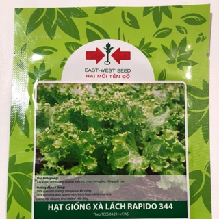 HẠT GIỐNG XÀ LÁCH XOĂN RAPIDO 344
