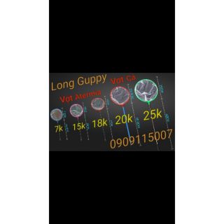 Vợt lọc atermia - vợt nano