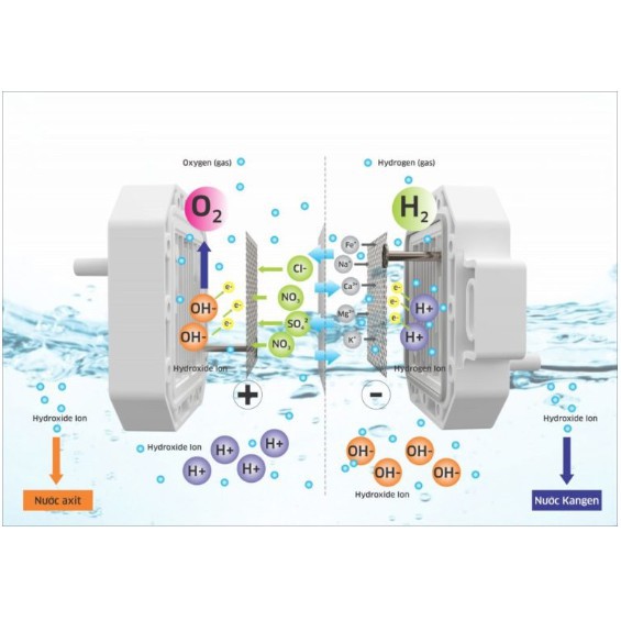 Máy lọc nước Kangaroo Hydrogen Điện Phân Ion kiềm KG100MED