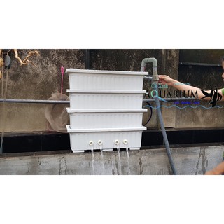 Bộ Lọc Baki hồ Koi 4 tầng trắng kích thước dài 60cm rộng 22cm cao 80cm chưa bao gồm phụ kiện lọc