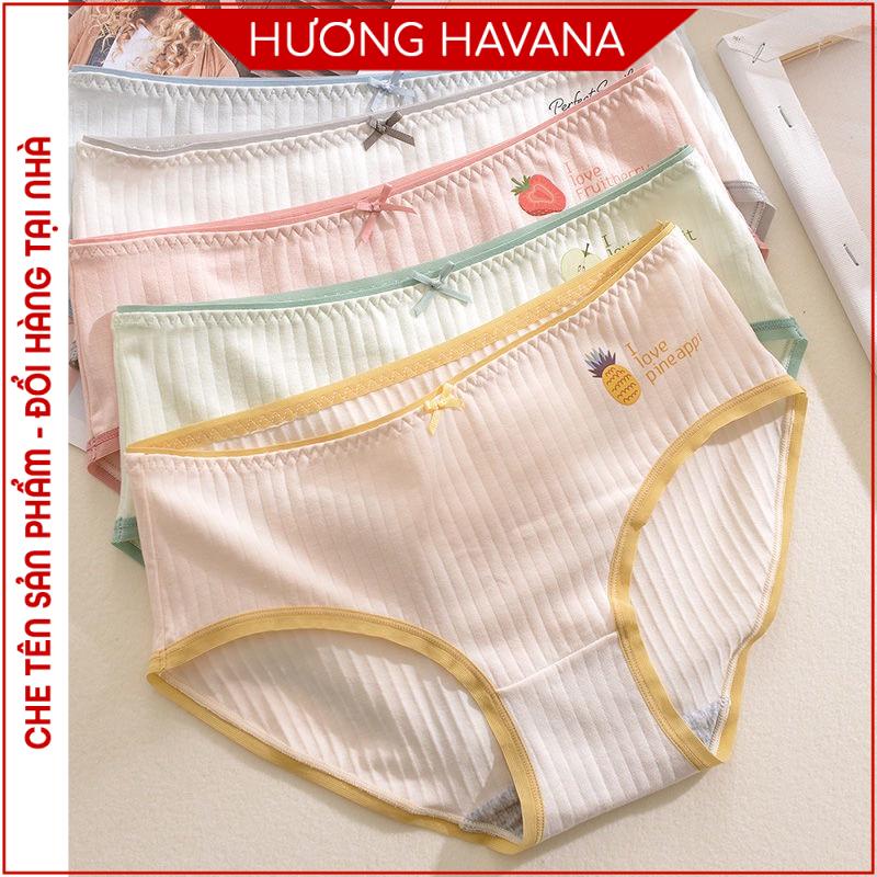 Quần lót nữ cotton gân tăm NAPAI hình hoa quả cao cấp - Quần chip nữ freesize Havana FLQ119