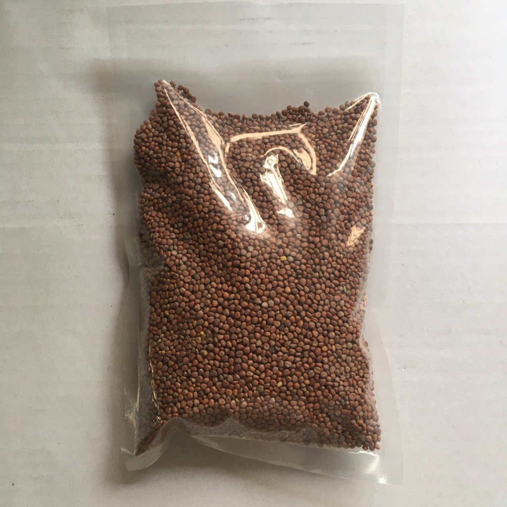 Hạt giống trồng rau mầm tại nhà gói nữa kg