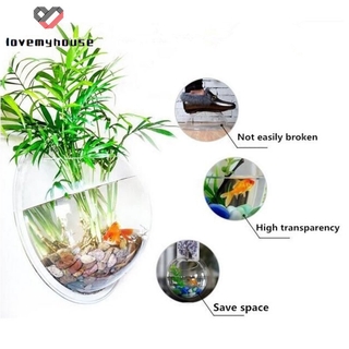 Bể Cá Treo Tường Trong Suốt